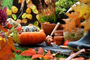 Blogbeitrag Herbst